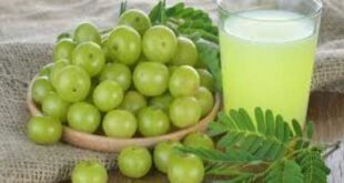 আমলকি