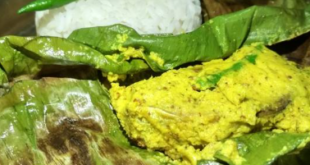 ইলিশ
