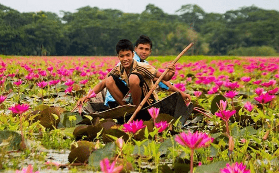 শরতের