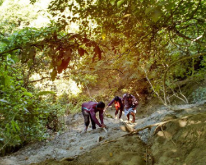 ট্রেকিংয়ের